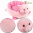 schwein