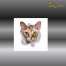 3D Aufkleber Katze