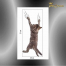 3D Aufkleber Katze